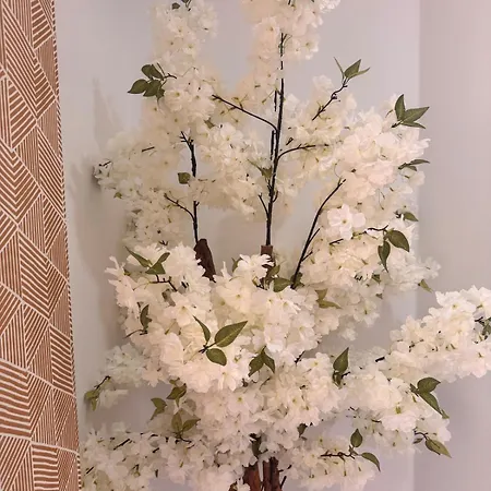 דירה Playa Del Cura View *